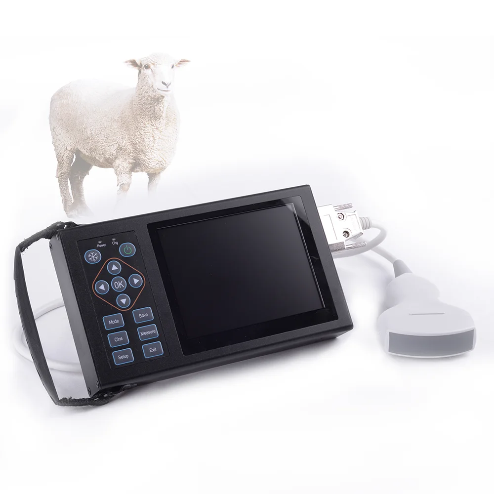 

5.6 inch Pig/Sheep/Dog/Cat Handheld Machine Portable Animal Cow Pigs Dogs Cats Veterinary portable ultrasound scanner