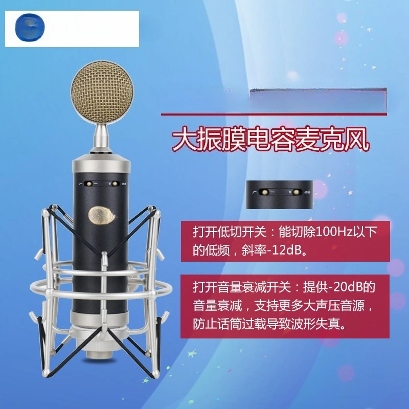 Professional recording condenser microphone