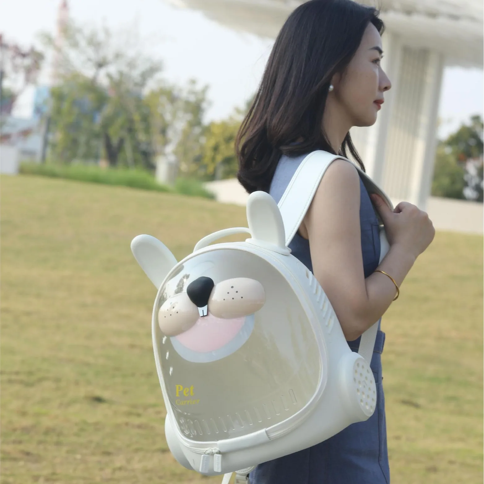 Mochila transportadora transparente para gatos panorámica, ventilada - imagen 5