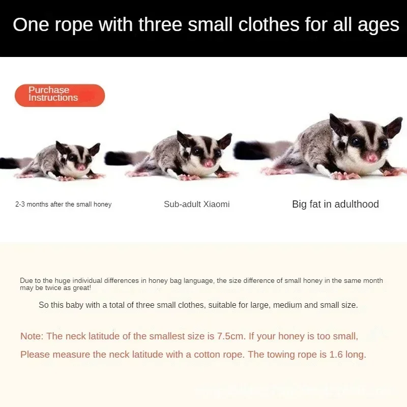 Sugar Glider Traction Rope for Going Out Anti Escape and Anti Bite Rope Hamster Golden Bear Squirrel Pet Supplies Props To Carry