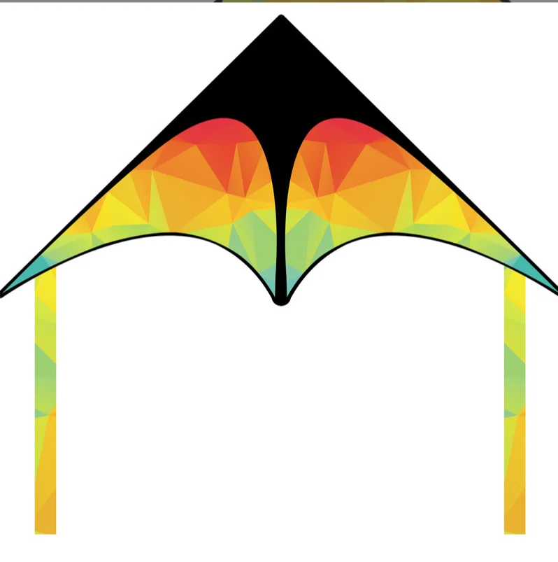Cerf-volant triangulaire arc-en-ciel pour parcs et plages, grande taille 125 cm, ligne de 50 m + 4 sangles de queue colorées, adapté aux adultes, aux familles, aux activités de plein air, cadeau facile à piloter pour les débutants