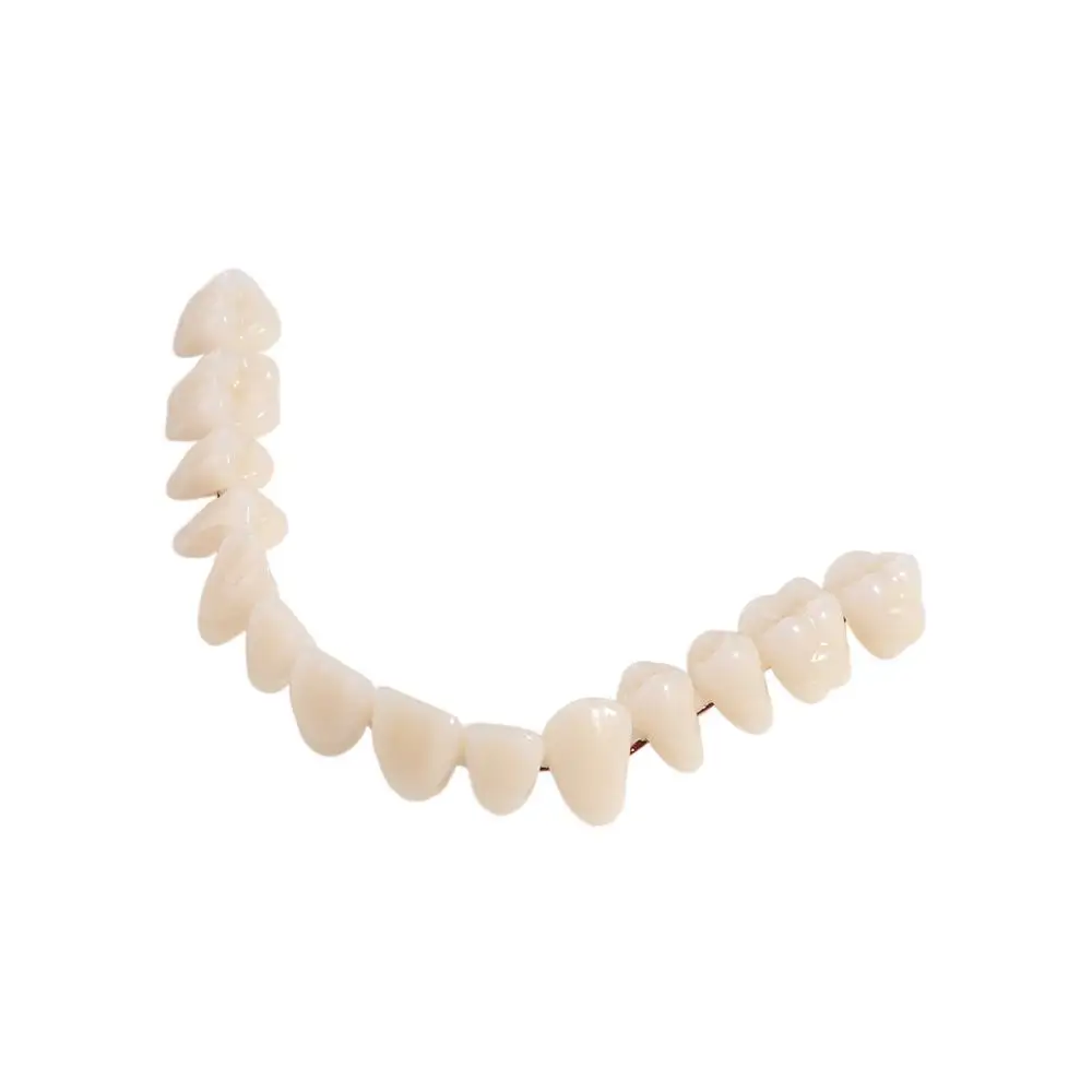 28 Pcs Resin Denture False Teeth Firm Improve Smile Dental Teeth Teaching Model Top and Bottom Fake Teeth Make Your Own