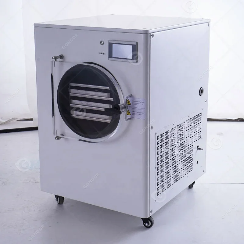 Liquid Dryer Food Maker Small Lyophilizer Vacuum  Drying Machine Portable to Dry