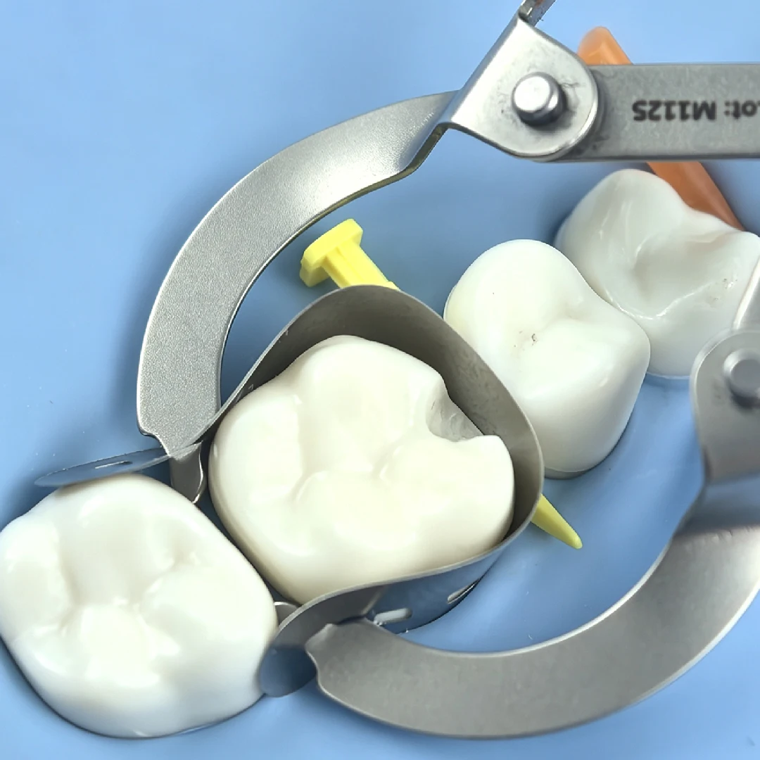 144Pcs Dental Tofflemire Matrix Bands M1 0.04mm Stainless Steel 9 Sizes with Margin Elevation Dentist Restorative Matrices view 6