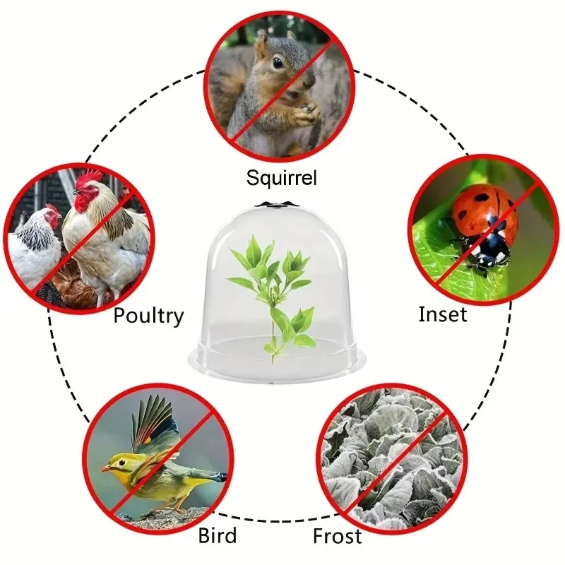 Reusable Adjustable Bell Shaped Garden Cloches High Quality Humidity Domes For Seedling Plant Growth Wind Frost Protection