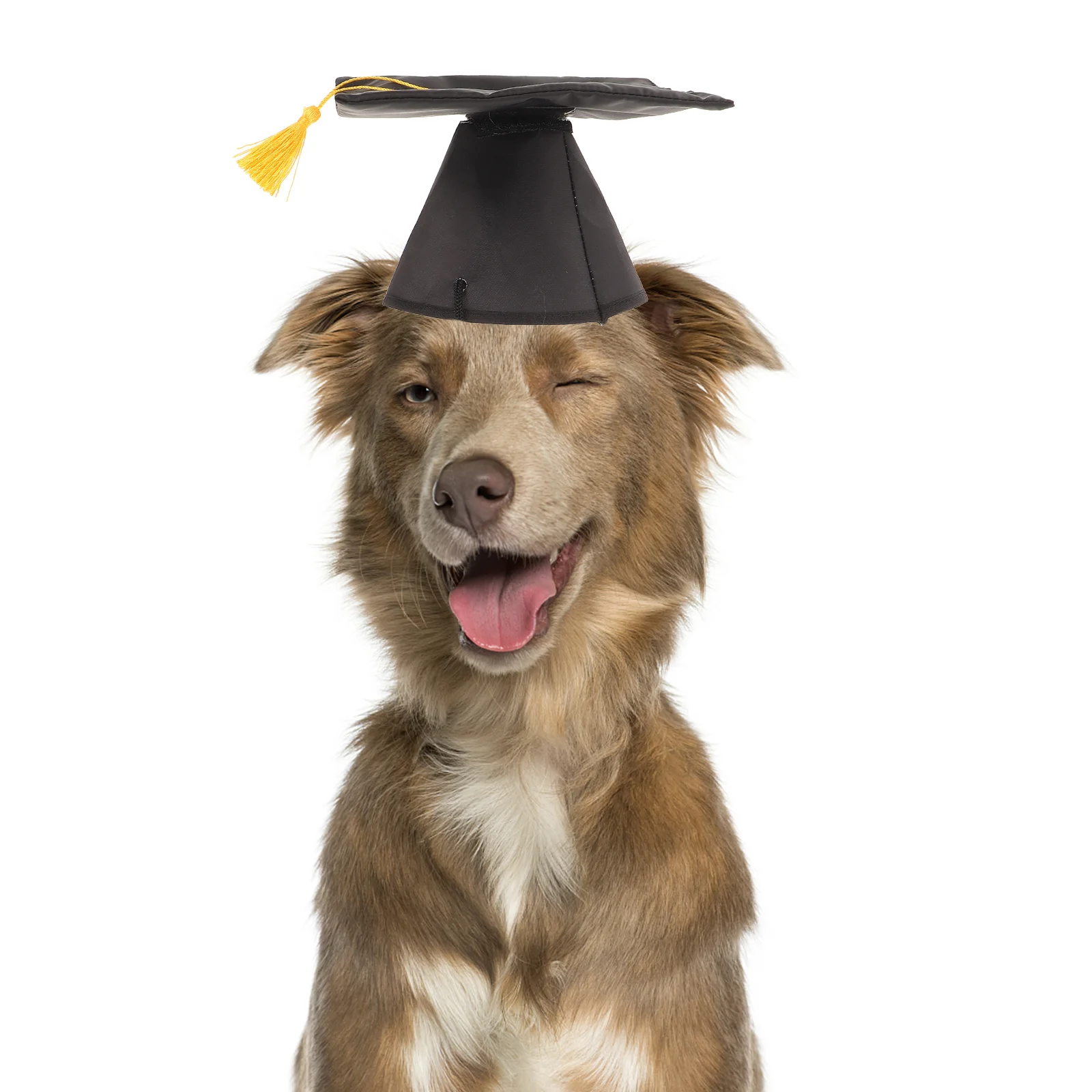 Dog Graduation Hat Animal Costume Pet Ceremony Party Supplies Infant Products