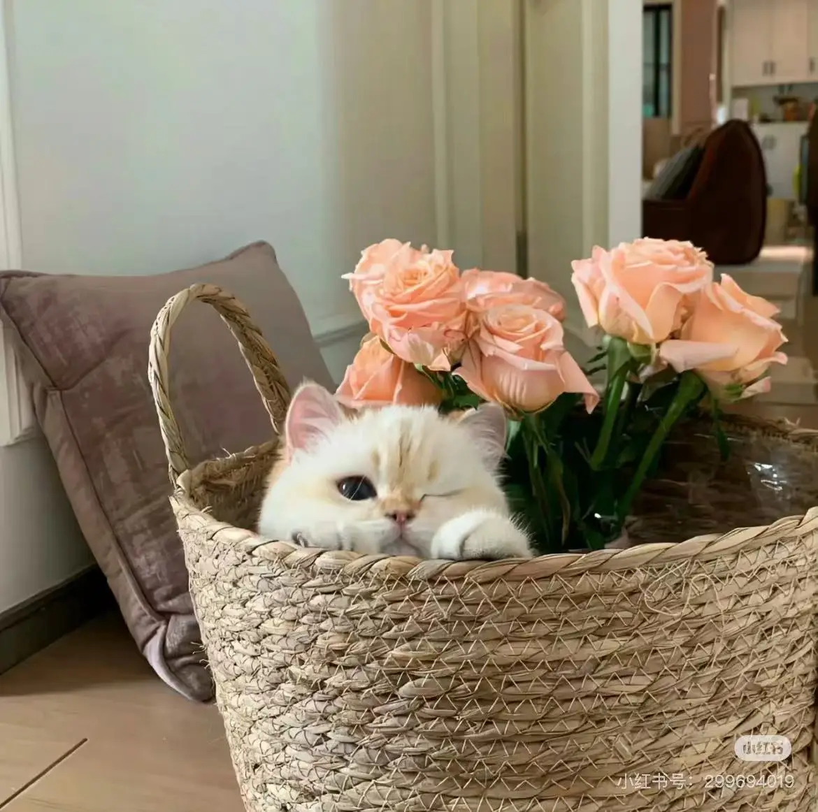 

25,2 В, 10500 мАч, подходит для швабр, встроенный аккумулятор BMS 6S3P 18650, литий-ионный аккумулятор