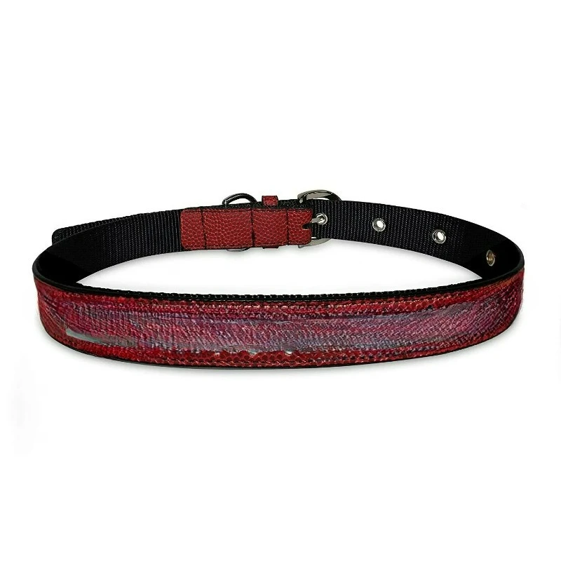 Premium Leather Dog Collar for Medium Breeds