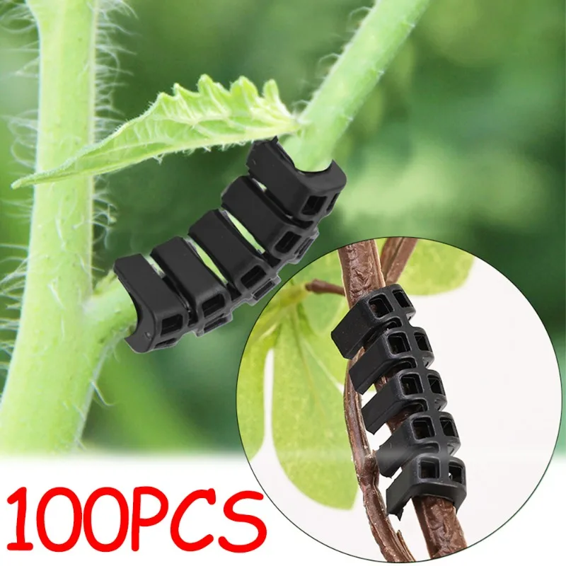 

100-50pcs Plant Bending Device Plant Growth Control Tutors Plastic Flower Branches Bending Clips Low Stress Climbing Supports