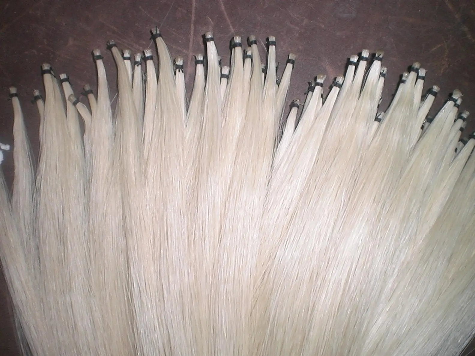 10 Hanks Quality Mongolia Stallion Bow hair 6gram/hank in 32 inches