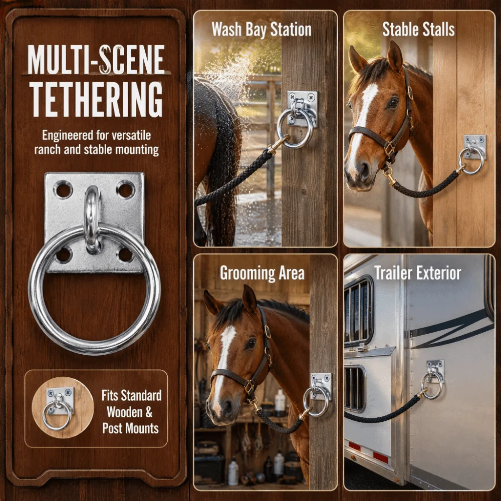 1 set Reliable Silver Horse Hitching Ring Zinc Plated Rust Resistant Tie Ring Plate Durable Horse Hitching Plate Bathing