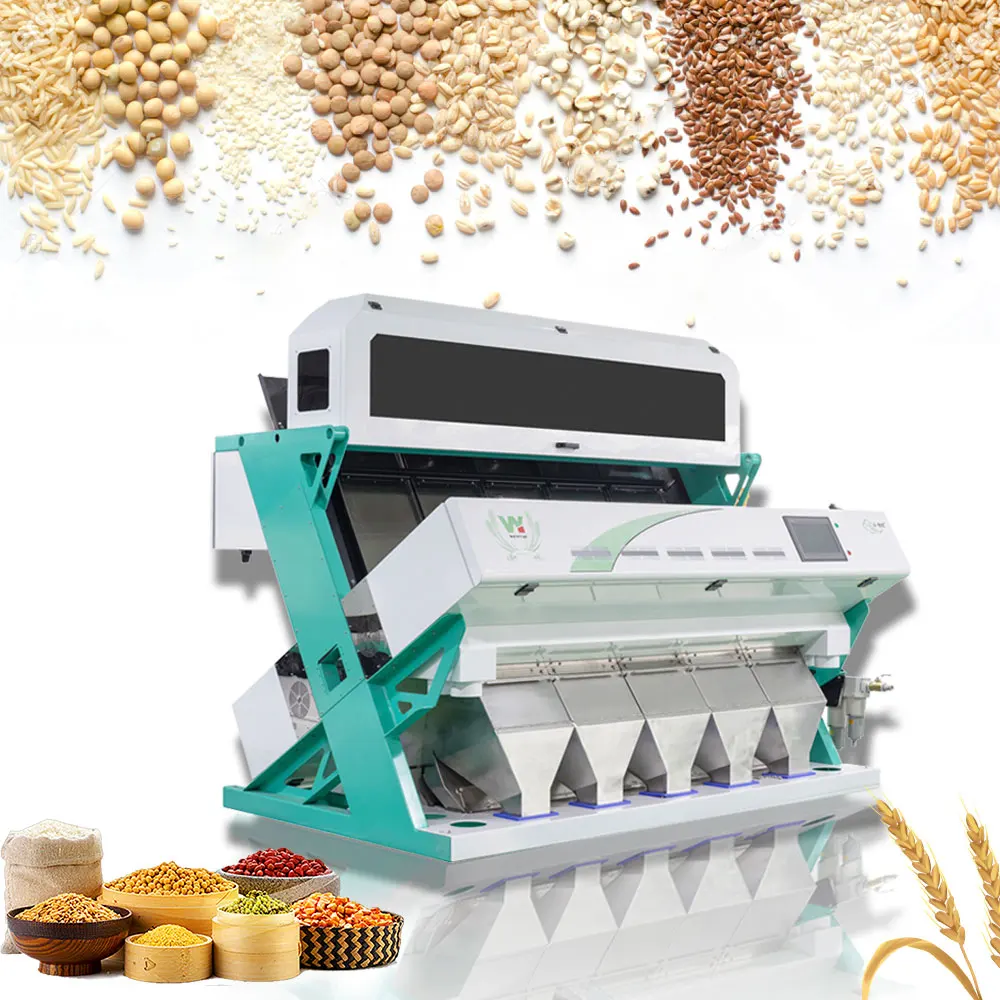 Widely used 5 chutes colour sorter and color sorting machine for cereal /grain /rye/corn with high quality