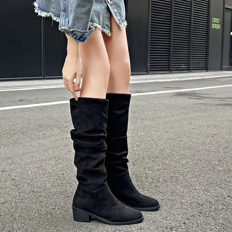 Shoes Female 2024 Fashion Sleeve Women's Boots Autumn Pointed Toe Denim Solid High Tube Chunky Heels Large Size Western Boots