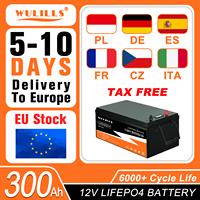 New LiFePO4 Battery 12V 100Ah 200Ah 300Ah 12.8V 24V 48V Lithium Iron Phosphate with Built-in BMS for Solar Boat Operation No Tax