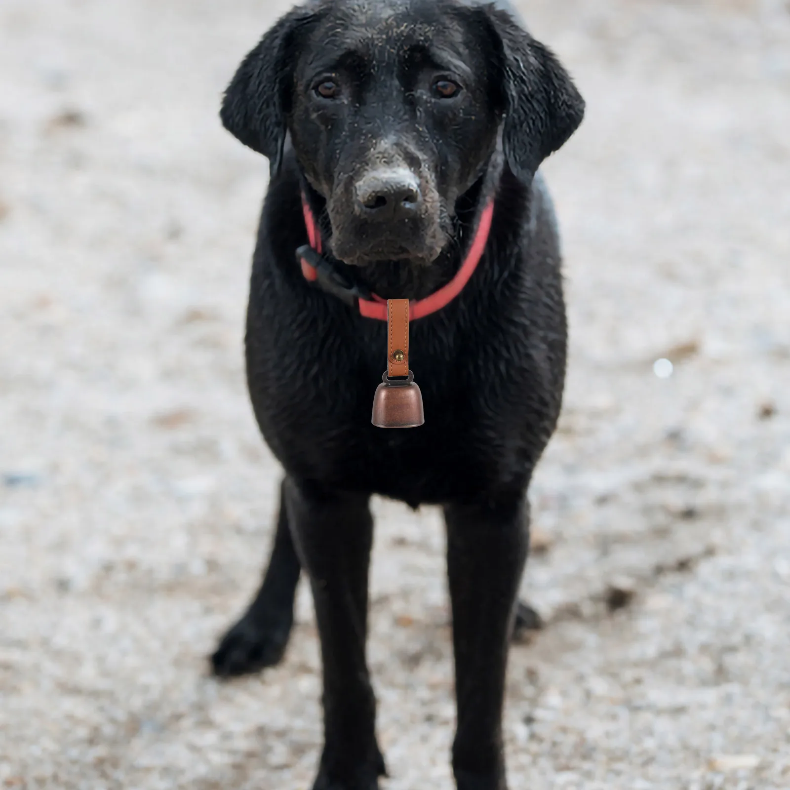 

Camping Bear Bell with Mute Feature Retro Hanging Metal Bell for Hiking Travel Pet Cow Bells Animal Decor