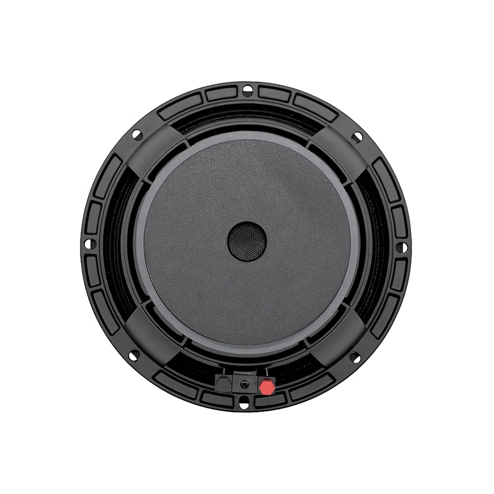 T-R10K260 Altoparlante woofer da 10 pollici Pro Sound Equipment Midbass Ferrite 1000W 10''