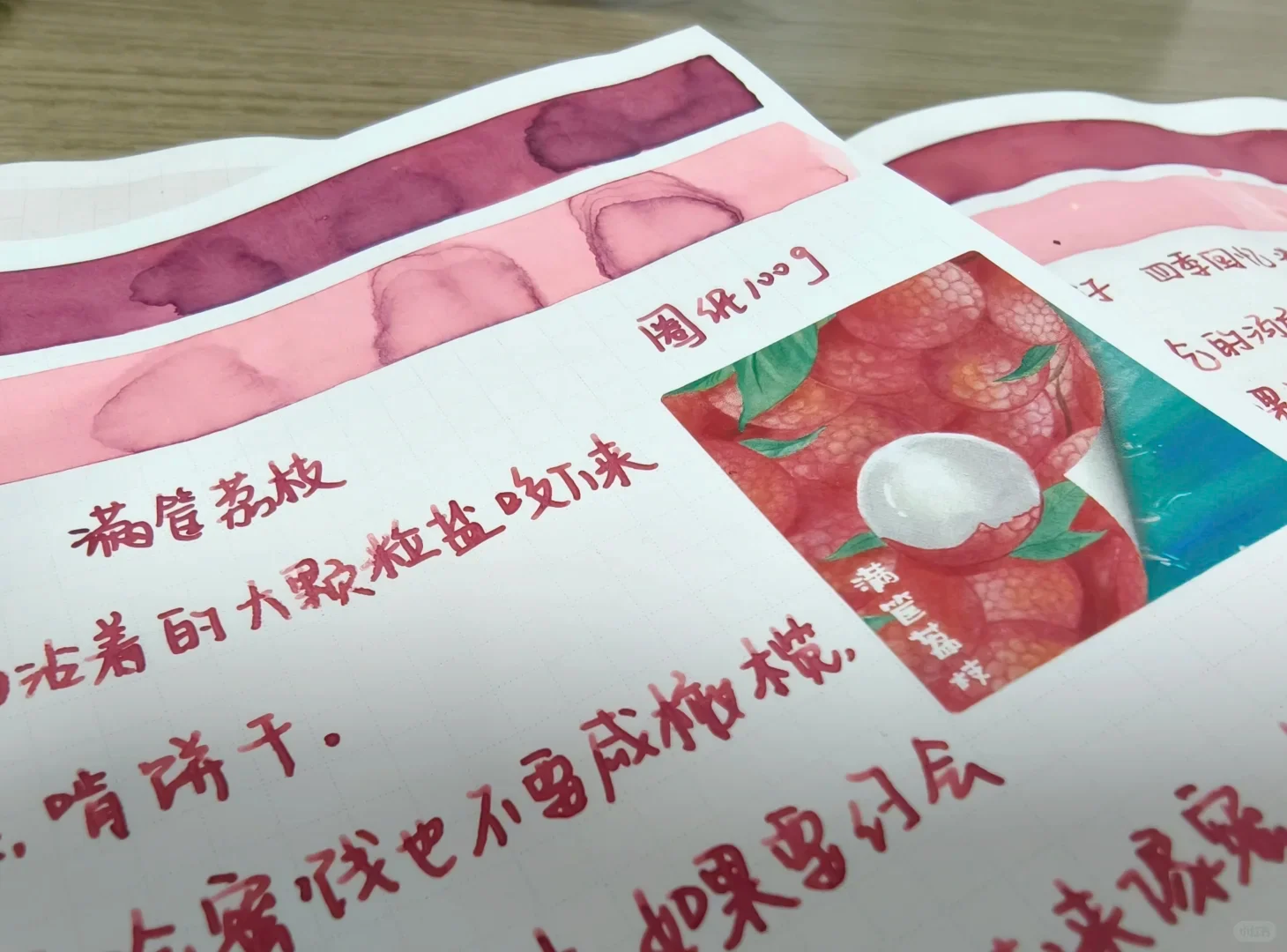 FANYANTAN ，Memories of Seasons Series，Basket of Lychees, Fountain Pen Shading Ink  50ml