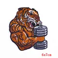 iron patch 16