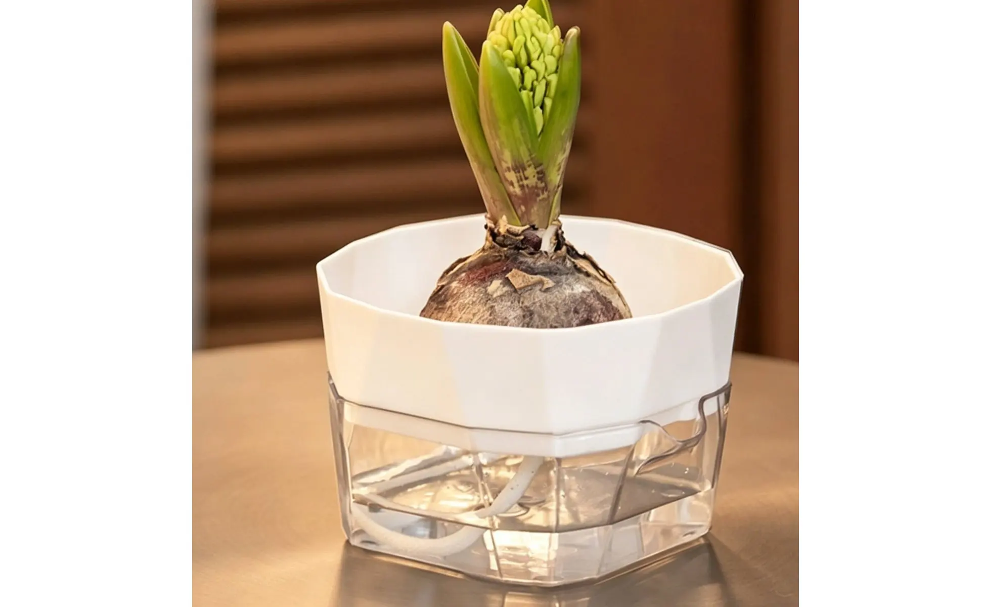 Hydroponic Bulb Vase 2-Tier Design Bulb Forcing Pot Automatic-Watering Planter Transparent Base Flower Pot for Plant Lovers Hydroponic Bulb Vase 2-Tier Design Bulb Forcing Pot Automatic-Watering Planter Transparent Base Flower Pot for Plant Lovers