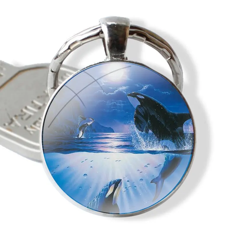 Glass Metal Pendant Key Chain Classic Men Women Key Ring Accessories Jewelry Gifts Killer Whale Orca