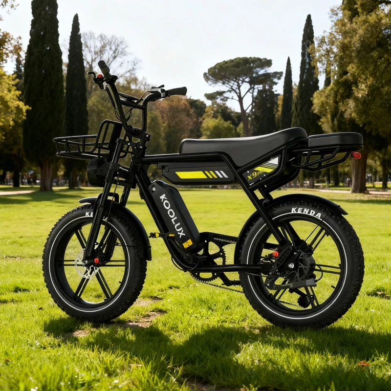 20 Zoll 48V 31,2Ah Faltbares Elektrofahrrad mit Doppelmotor E-Bike Klappbares Elektro-Mountainbike für Stadt und Gelände mit Fettreifen