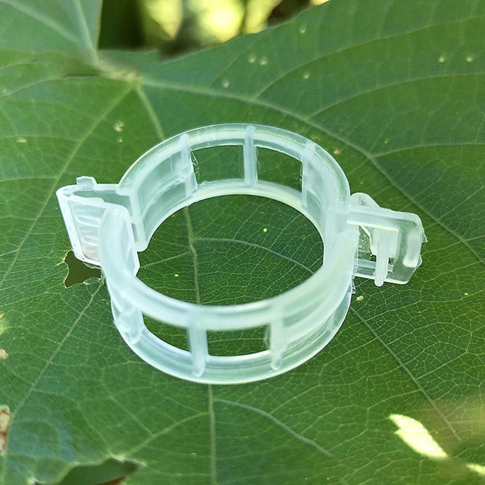 Plant Support Plant Climbing Wall Fixture Clips Rattan Clamp Fixator Self-Adhesive Vine Buckle Hook Invisible Vine Binding Clip