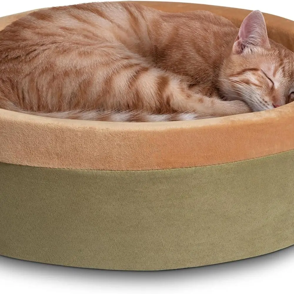 

Wireless Bluetooth Headphones with Noise Cancellation for Enhanced Audio Experience