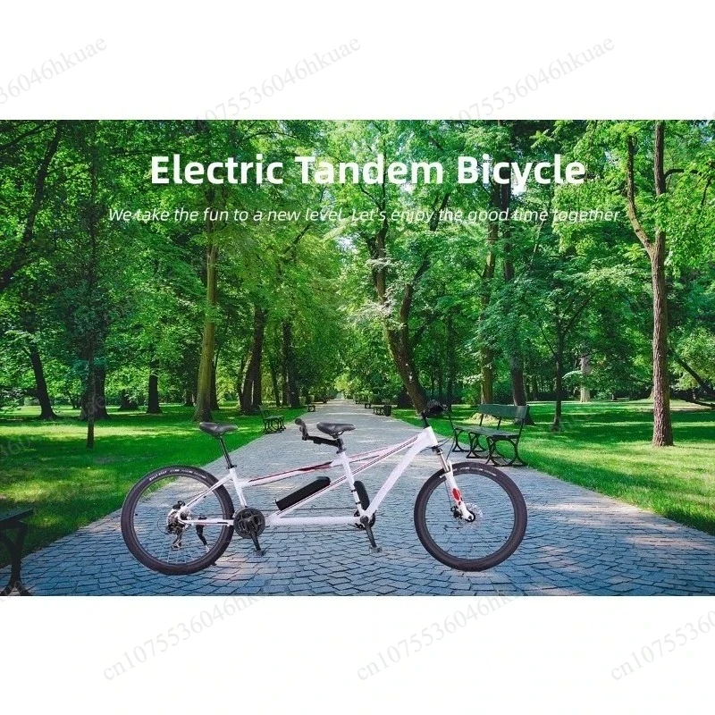 Dual Seat Folding Electric Bike High Power Long Range for Couple