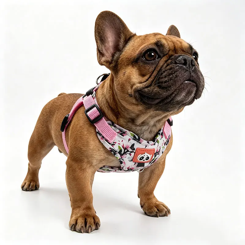 Peitoral para cão com flores, ajustável e respirável_voghion.com
