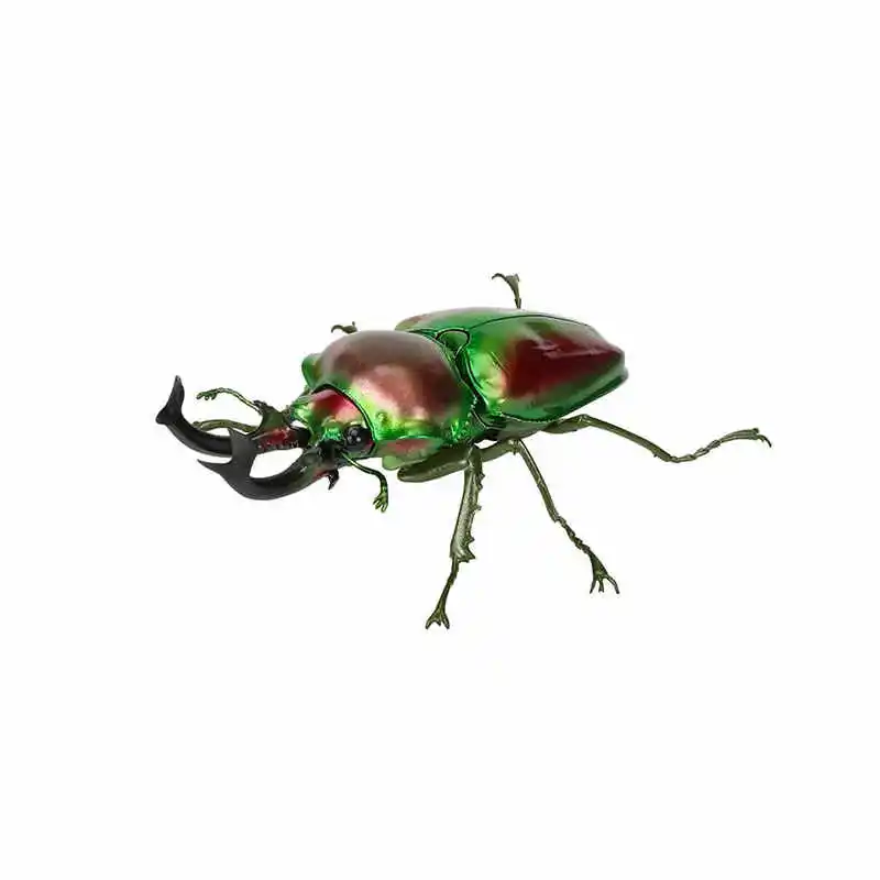 Hot Bandai Stag Beetle Gashapon No.10 - Rainbow Life Cycle Insect Model Realistisch stamspeelgoed Klassiek verzameldierfiguur
