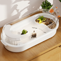 1 Piece Desktop Turtle Breeding Tank, Special Ecological Turtle Tank for Raising Turtles, Plastic Turtle Basin for Home Living Room