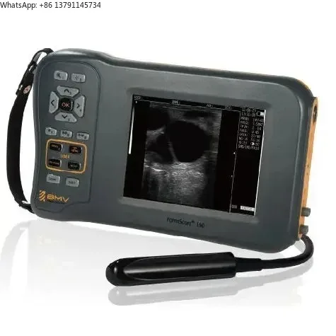 

High quality image farm animals equine scanner farmscan l60 for bovine scanning with rectal linear probe scanner