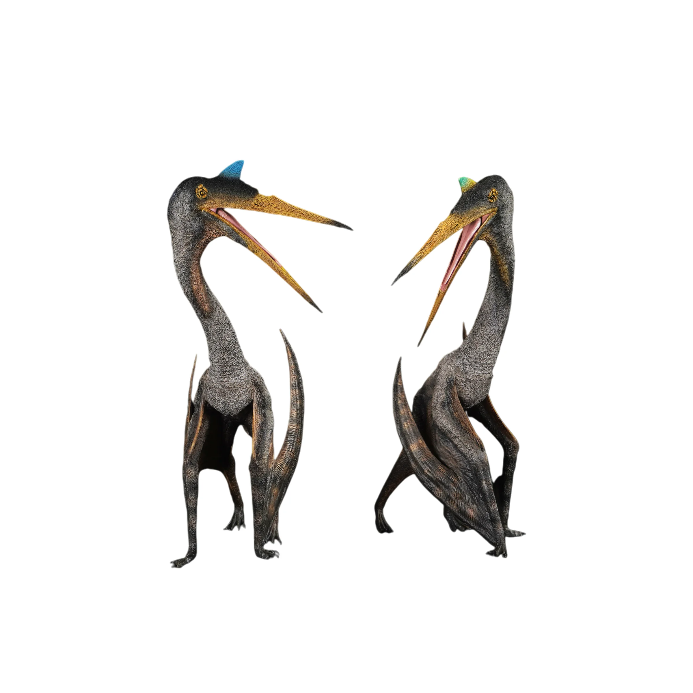 

Rebor 1/35 Scale Northrop’s Quetzalcoatlus Quetzalcoatlus Lawsoni Couple Two Pack Dinosaur Animal Model Collection Scene Decor