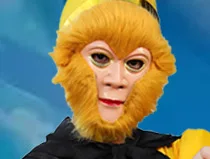 Journey to the West Sun Wukong Cosplay Costumes For Boys Monkey King Clothing Halloween Carnival Funny Party Animal Costume view 6