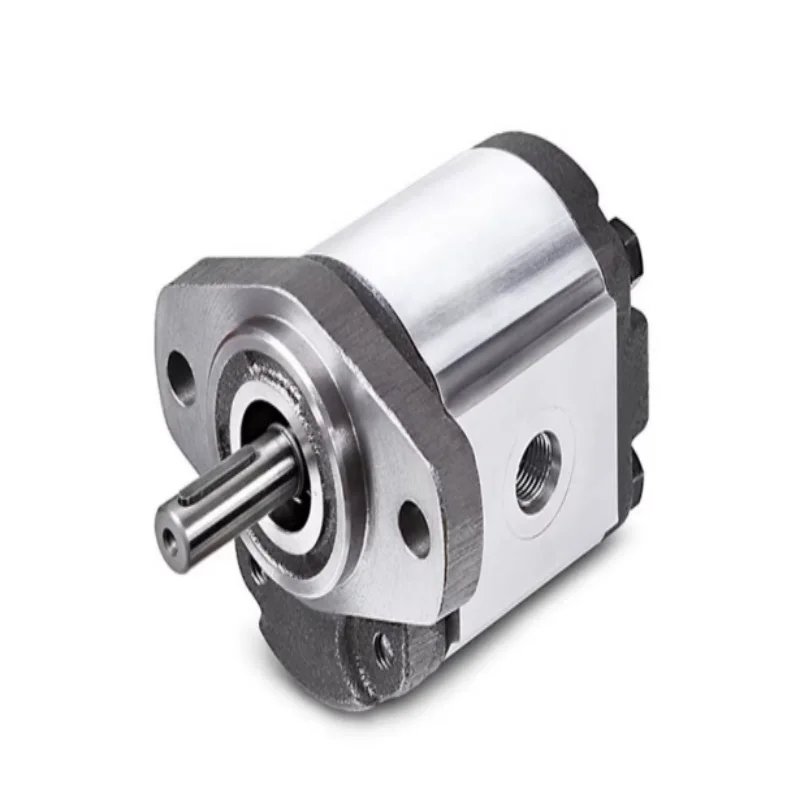 

Совершенно новый оригинальный шестеренный насос 1AG1P02R 1GG1P02R 1GG1B02R 1AG1P04R 1GG1P04R 1GG1B04R 1AG1P05R 1GG1P05R 1GG1B05R