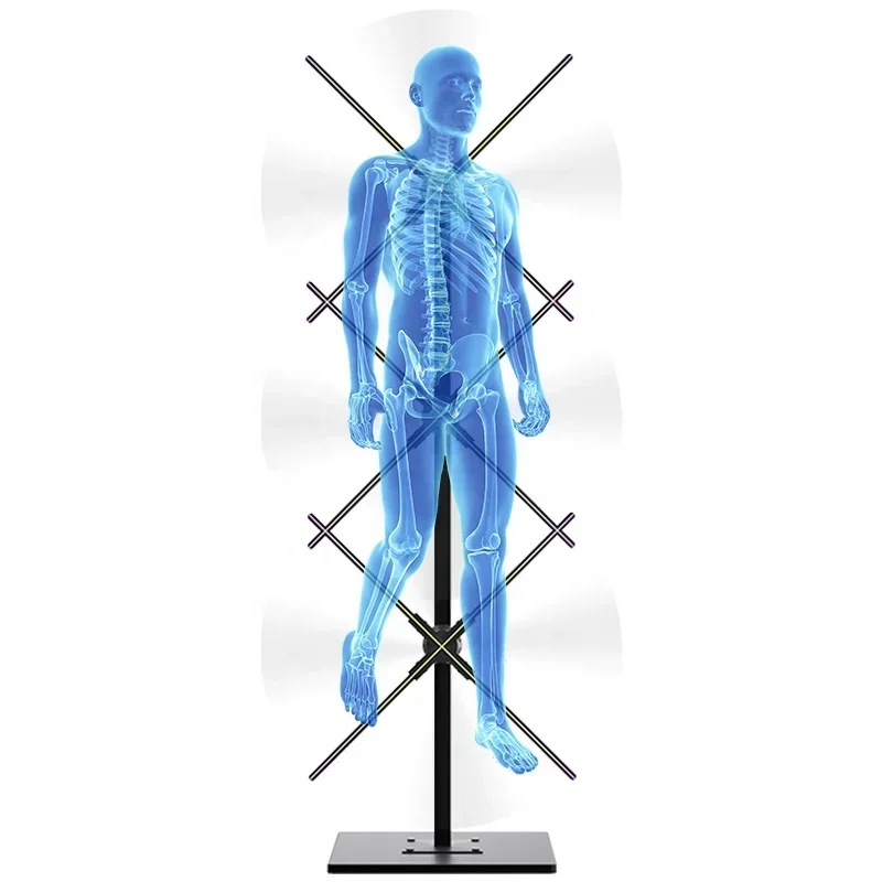 New 3D Hologram Projector Advertising Equipment Display Stand Screen 3*65CM 3D Holographic Projection LED Fan Digital Man Displa