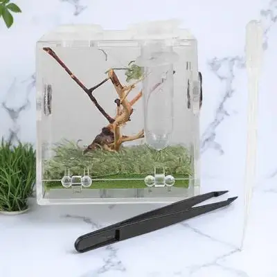 

Spider Terrarium with Dropper Forceps Reptile Breeding Box Portable Lightweight Ventilated Acrylic Pet Case for Crabs Turtles