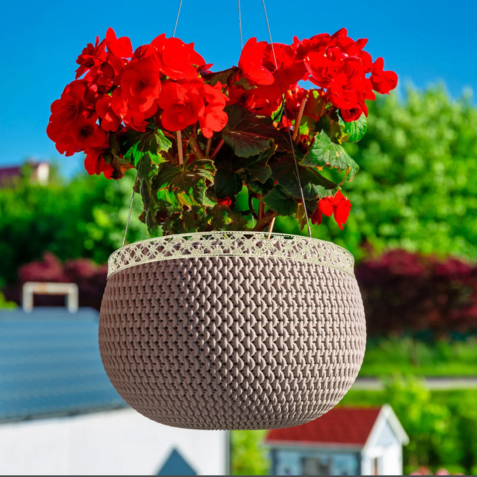 Anillo de Metal Resistente y Reutilizable de 25 cm para Colgar Plantas en el Techo, Ideal para Piñas de Aire, Suculentas, Decoración de Pared, Fiestas y Eventos