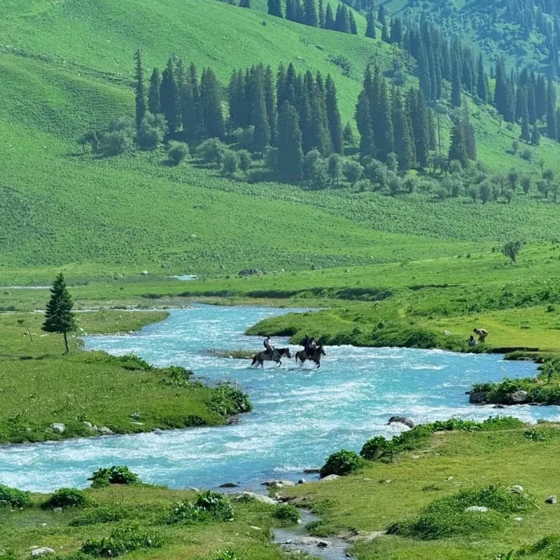 JX Servo PDI-HV2010MG Digital Mini Servo - 11KG Torque Metal Gear Coreless HV RC Car Robotics Acessório