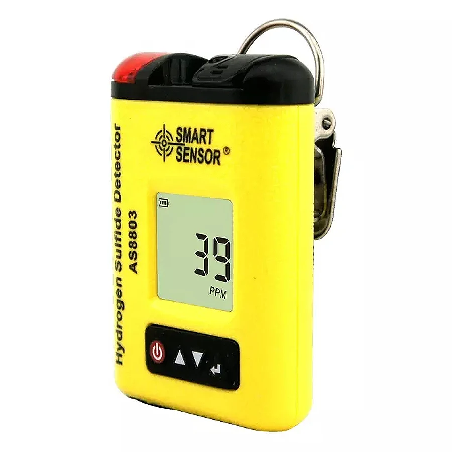 SMART SENSOR AS8803 - Handheld High Precision Portable Hydrogen Sulfide Monitor H2S Gas Concentration Reagent Test Analyzer