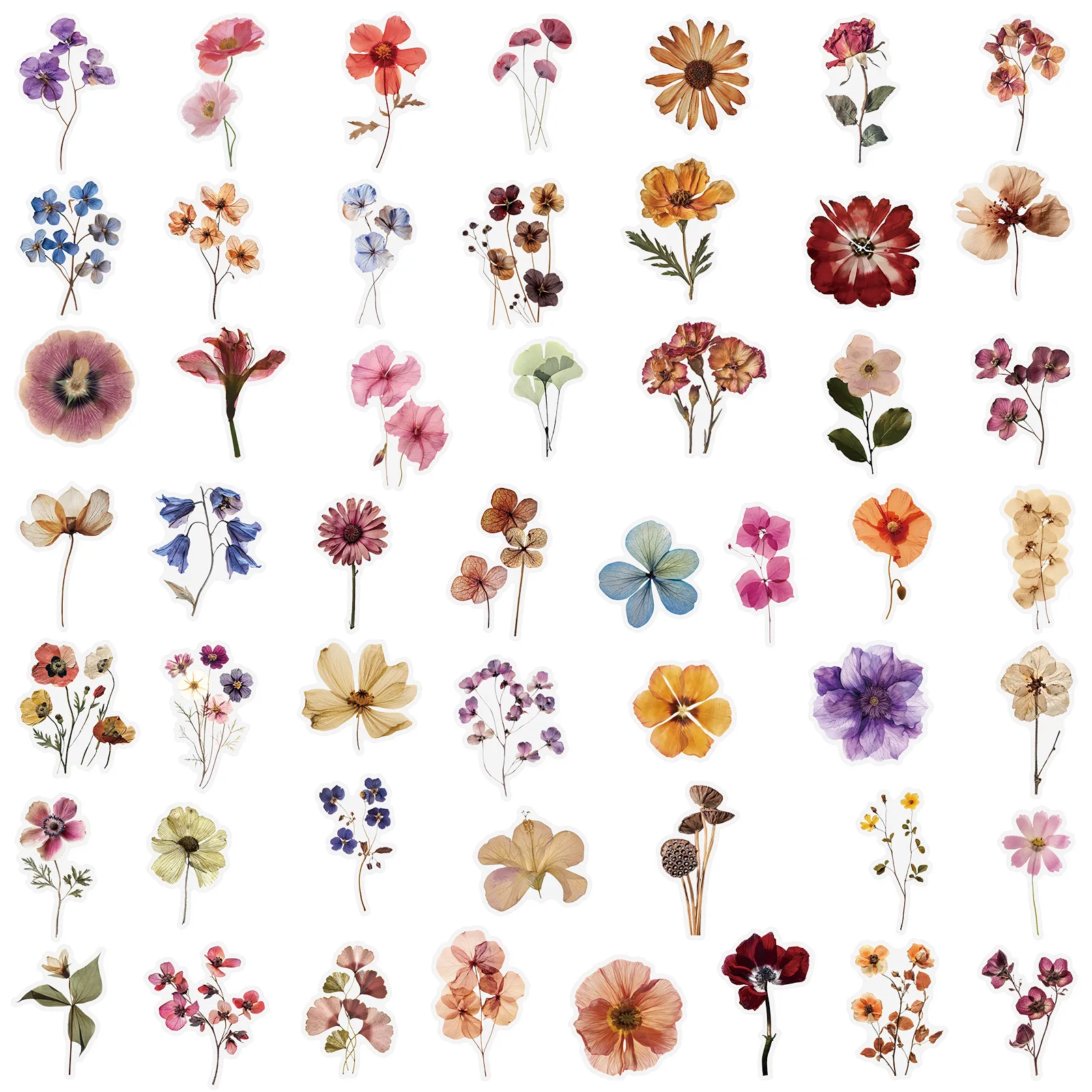 10/25/50pcs Mixed Transparent Retro Dry Flower Stickers Aesthetic for DIY Decor Scrapbooking Phone Laptop Notebook Guitar