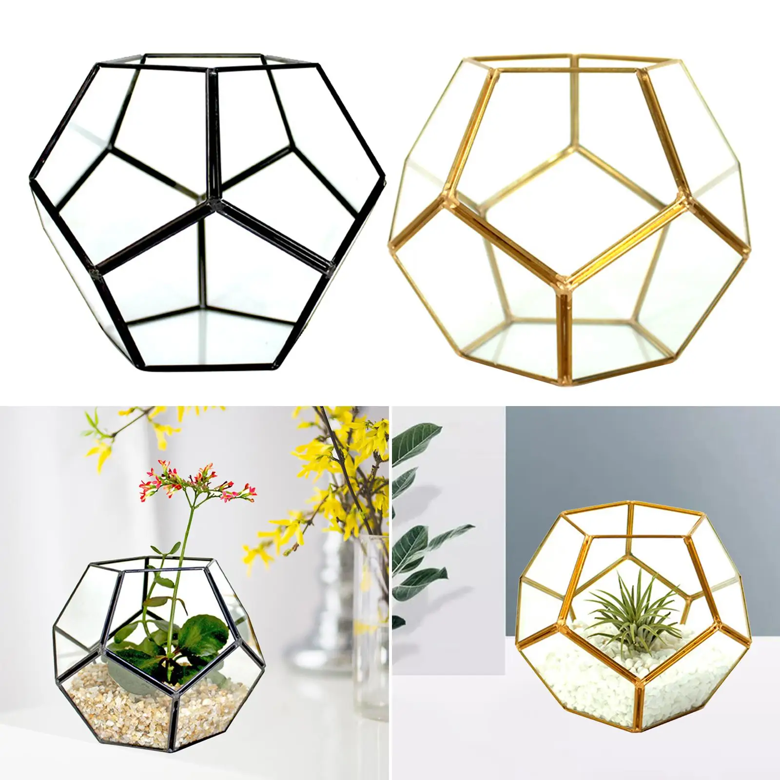 Geometric Terrarium, Planter Shelves, Bonsai Container for , Fern Air Plants Tabletop Decor Gift