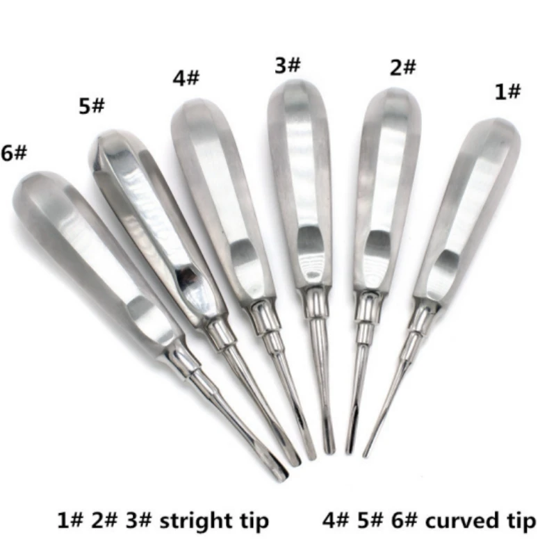 

Dental Elevator Stainless Steel Straight Curved Tips Root Lift Elevators Tooth Extraction Forceps Dentist Surgical Tool