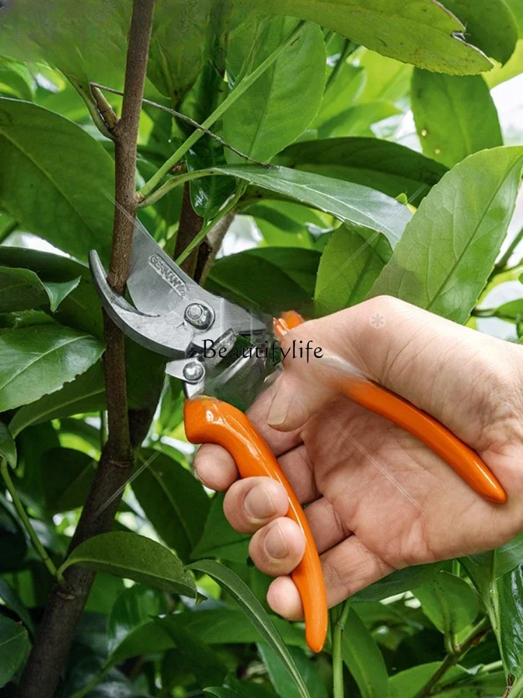 Imported Professional Garden Gardening Orchard Pruning Pruning Manual Pruning