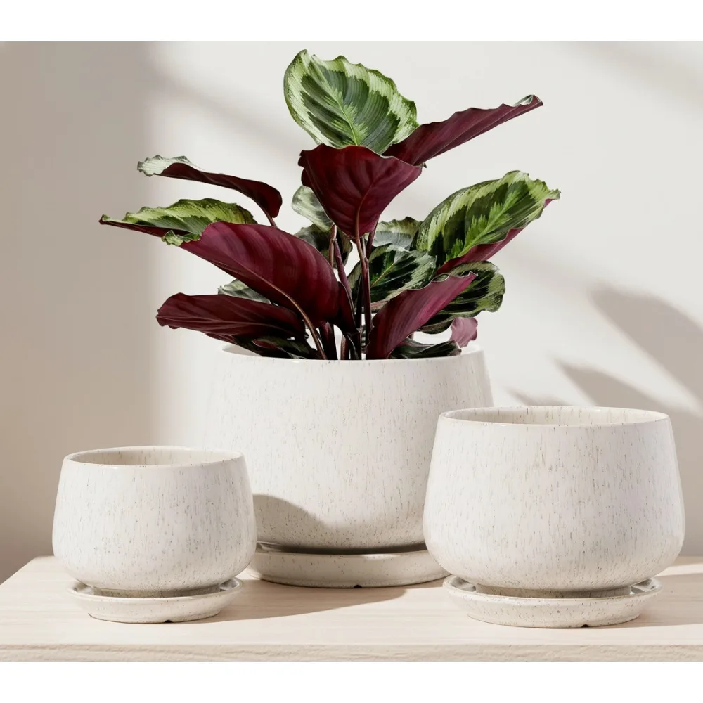 

3-Piece Ceramic Plant Pots Set with Drainage Holes & Saucers, Indoor Flower Planters for Succulents, Perfect Gift for Mom
