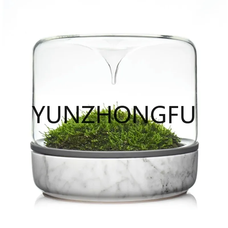 Geonature Momo-M Geometric Natural Medium Moss Landscape Bottle Marble Bottom