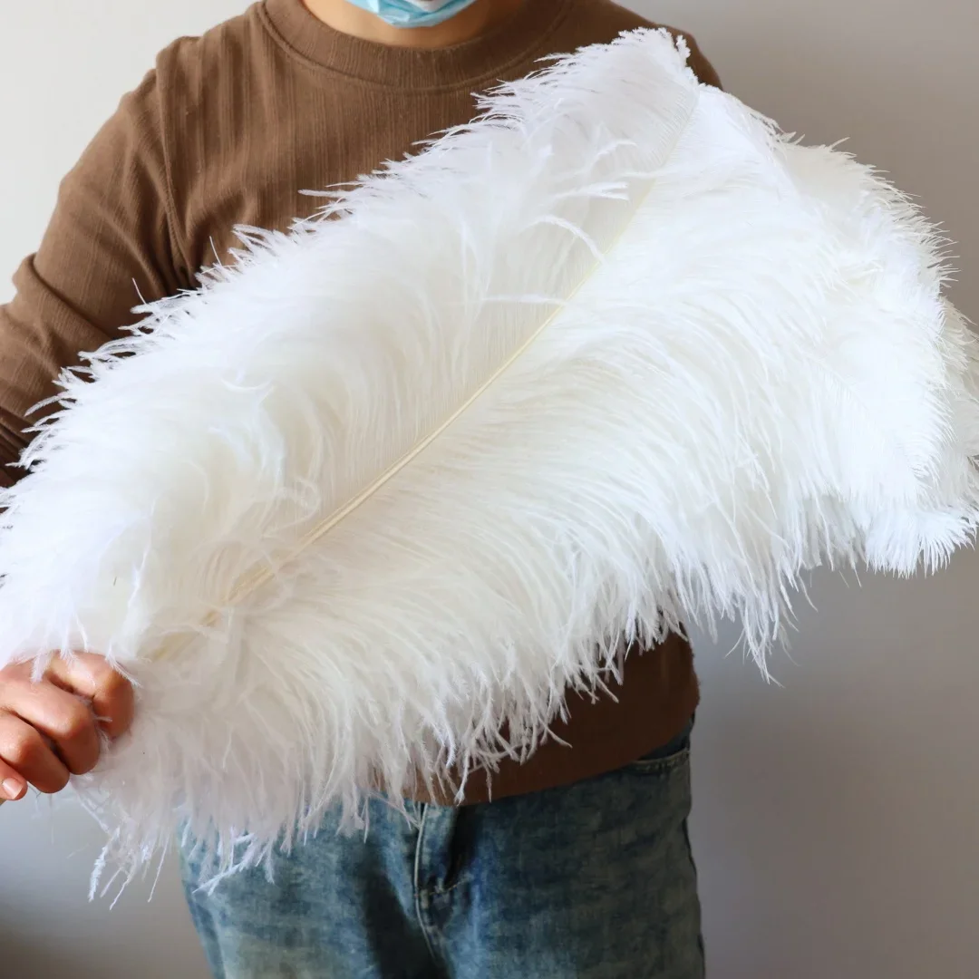 

10PCS Big White Ostrich Feathers 26-28 Inches For DIY Crafts Carnival Jewelry Party Decor Long Plumas