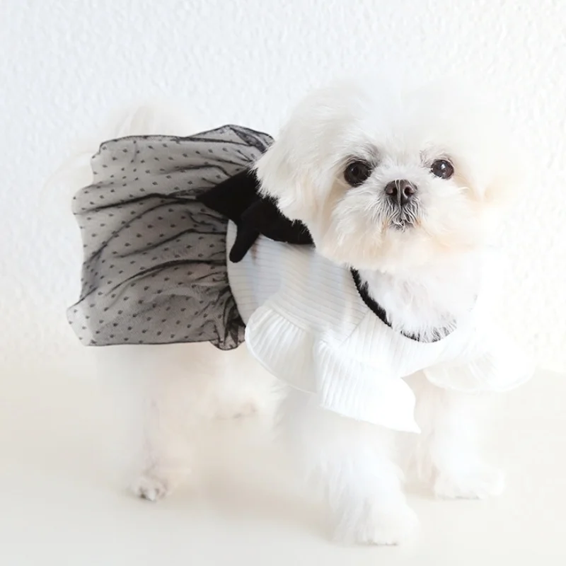 Thumbnail 3 - #81 Best Cat Apparel to Buy In 2026