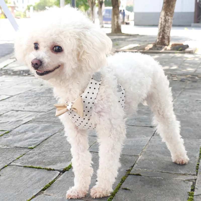 Summer Breathable Pet Harness Dog Traction Pet Supplies Cute Bow Tie Vest Strap Cat Dogs Universal Chest and Back Dog Y Harness