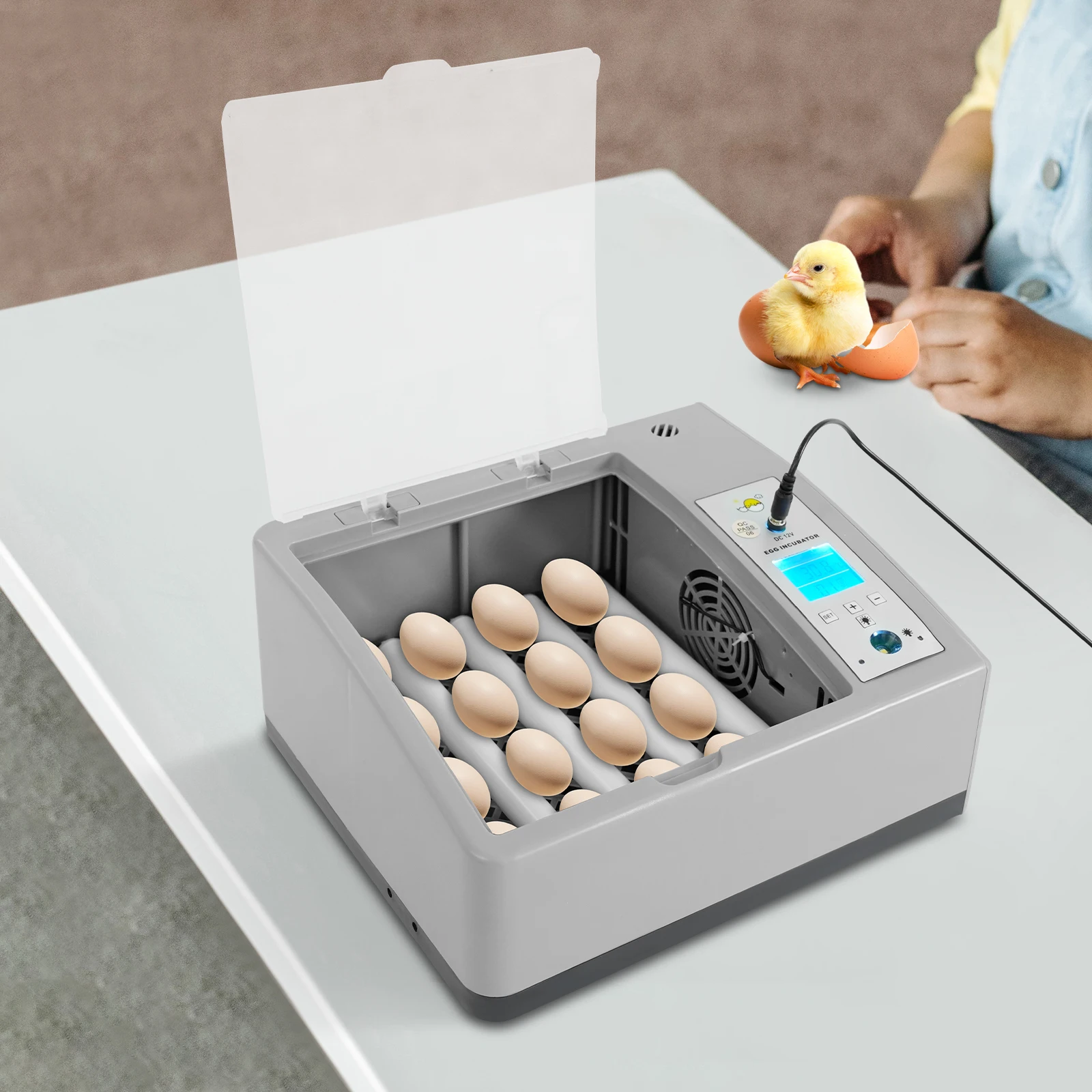 

Egg Incubator with Temperature Control 16-Egg Incubator Adjustable Rollers Household